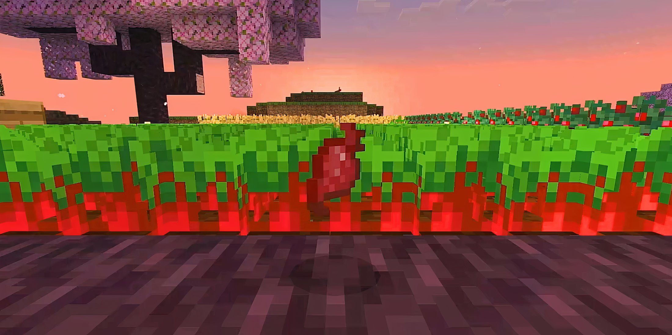 Minecraft Food Tier List Beetroot