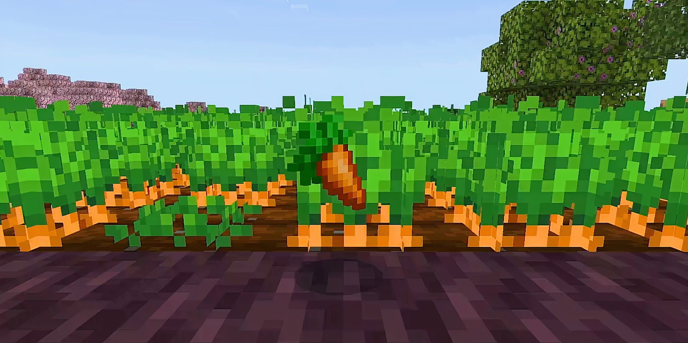 Minecraft Food Tier List Carrot