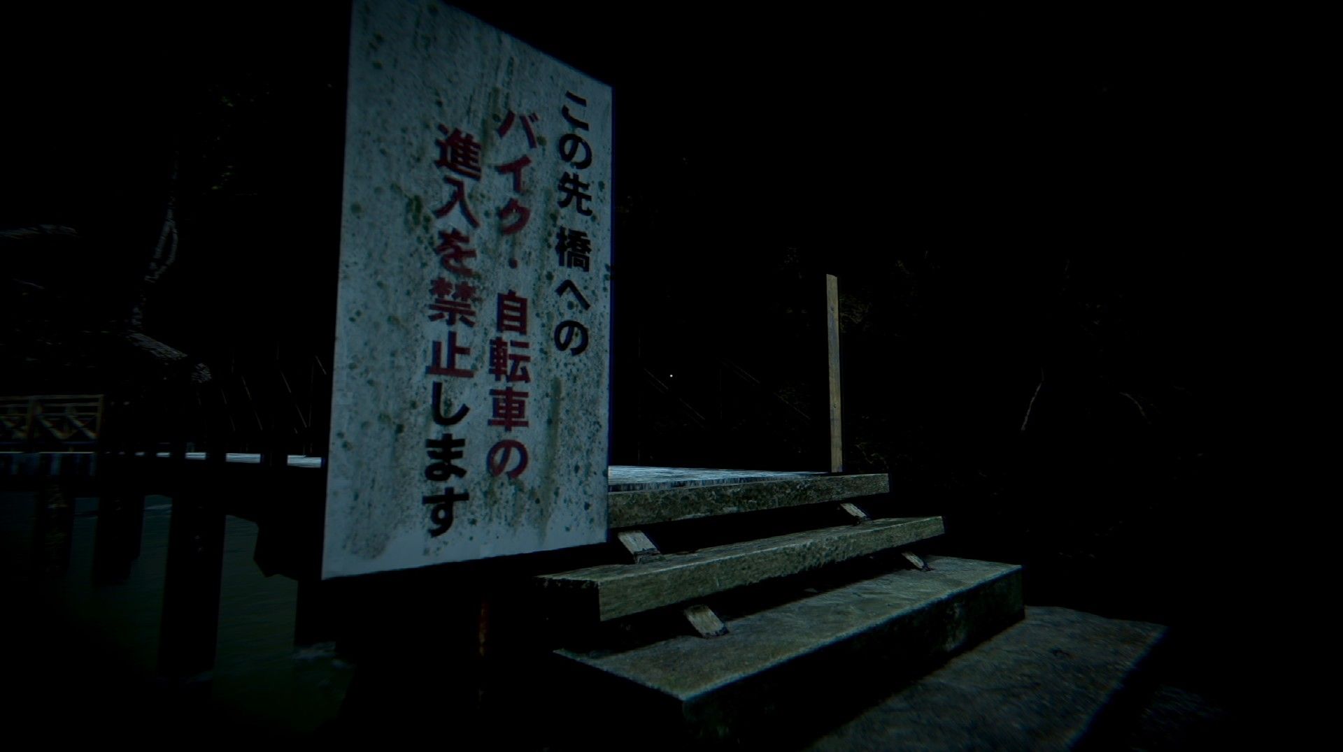 Missing Children Press Image 3