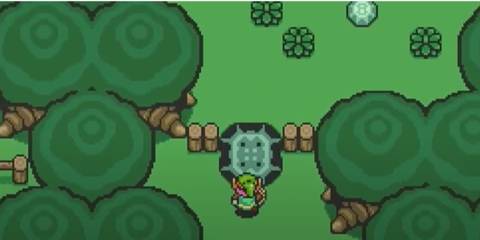 Link entering the forest