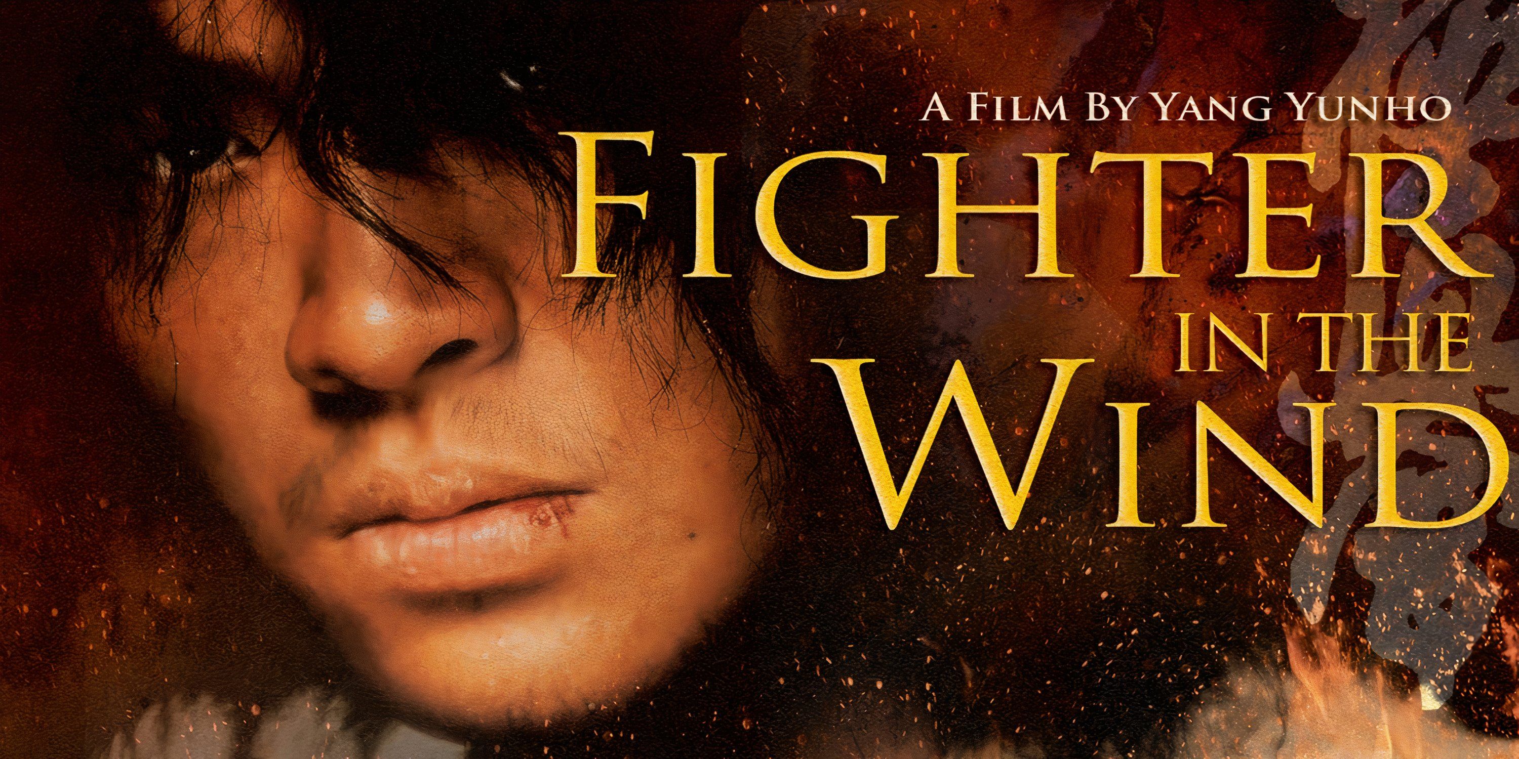 Fighter In The Wind (2004) promo image