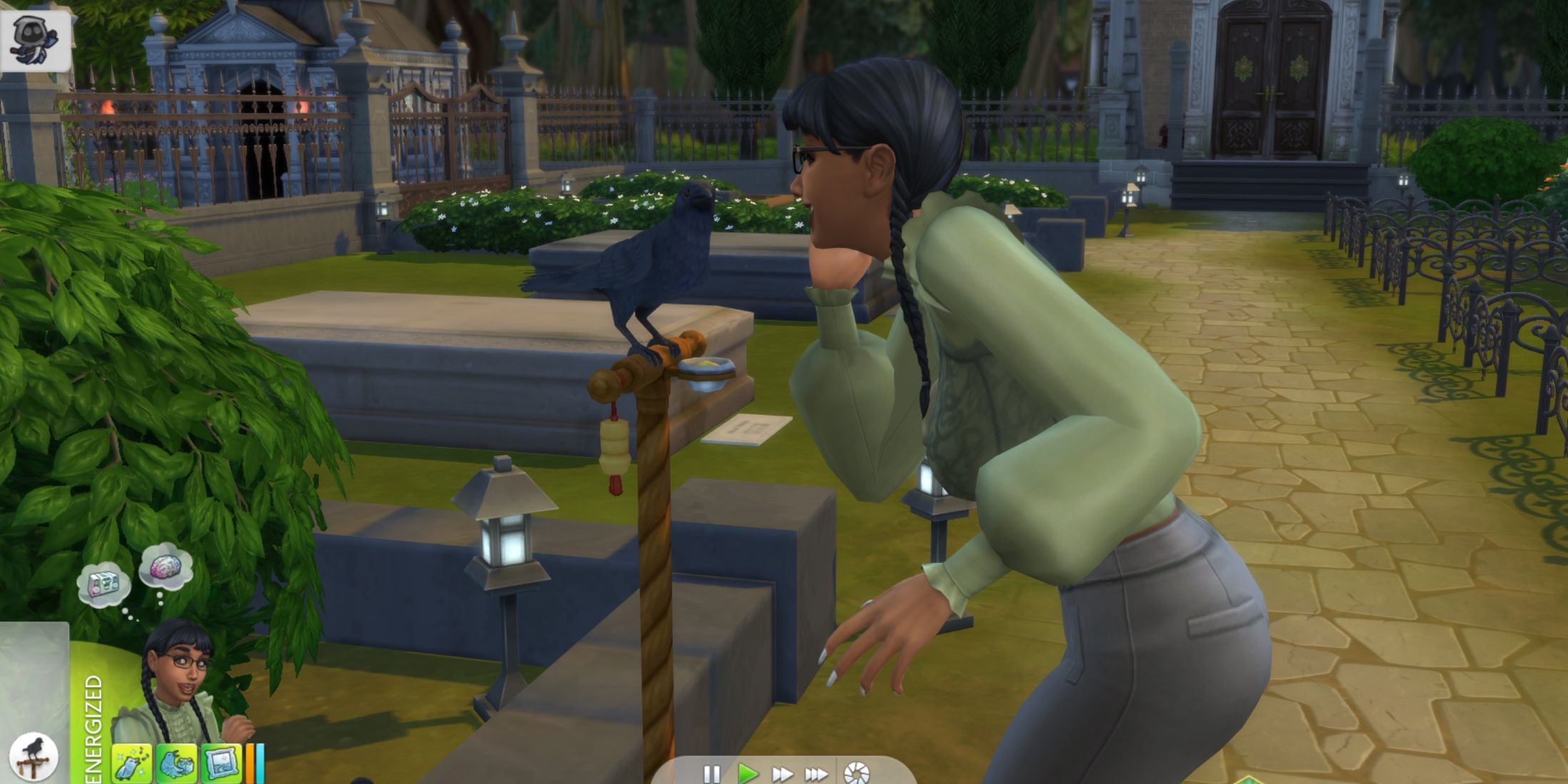 the sim talking to a crow