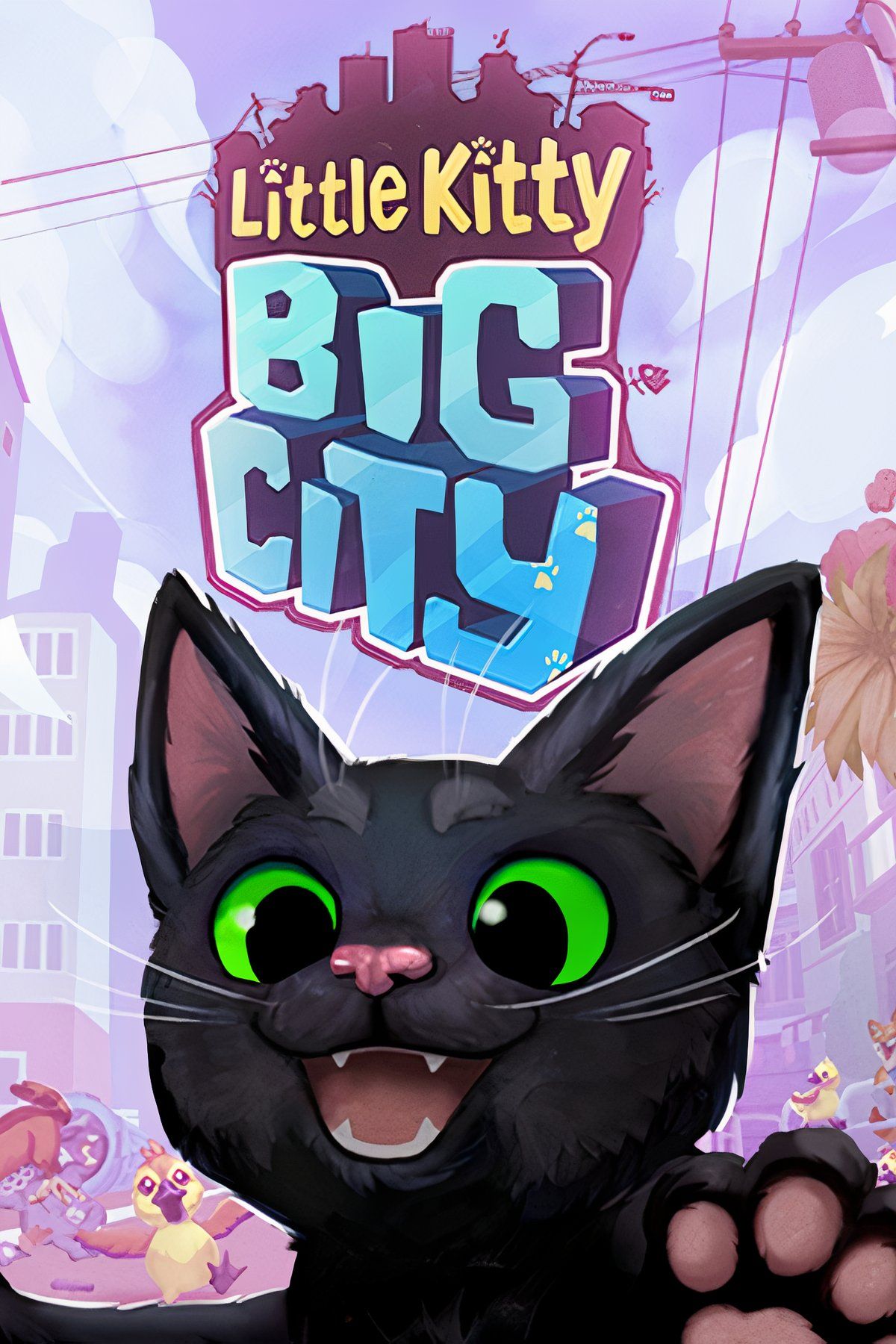 little kitty big city