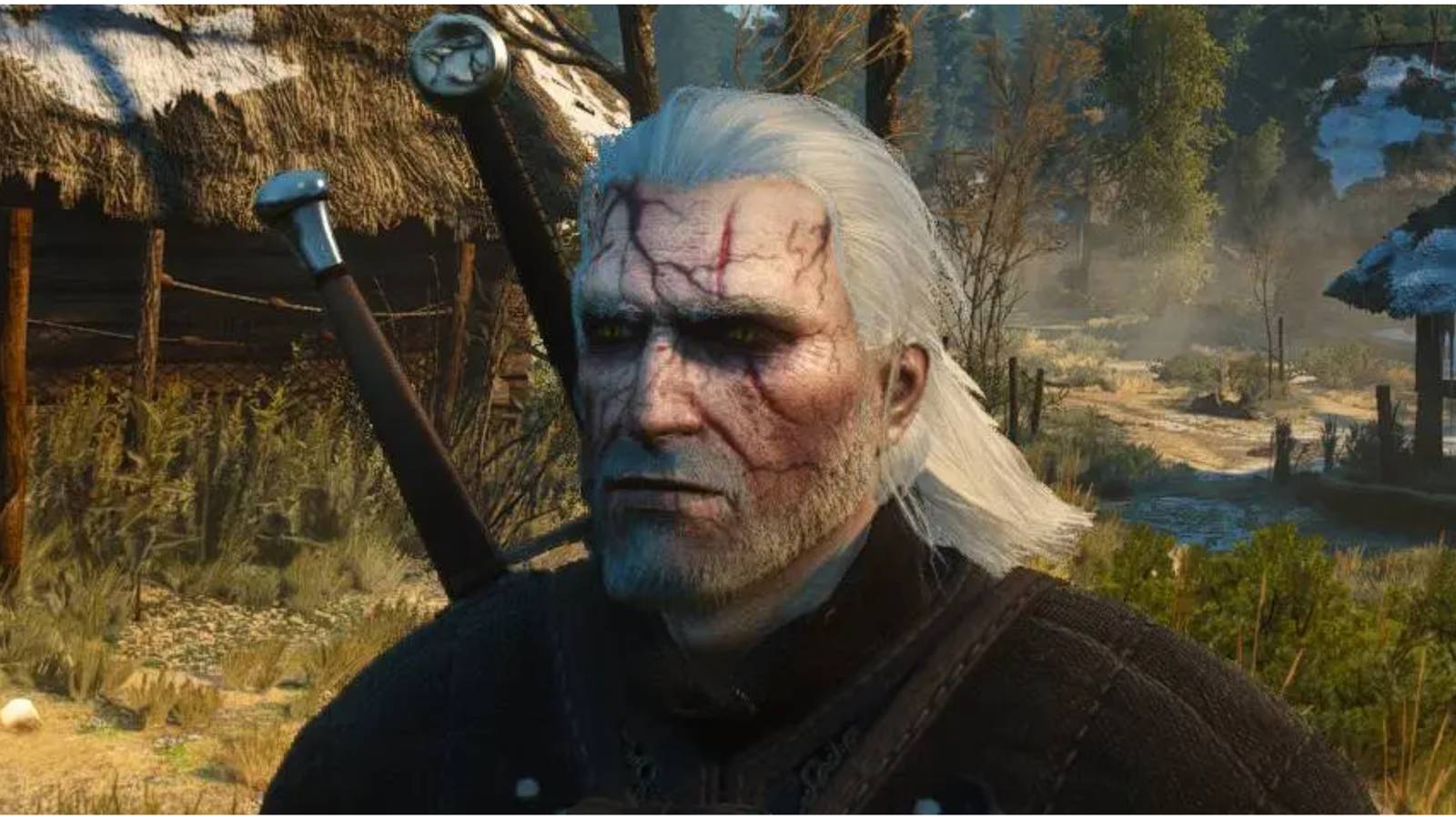 Toxicity in The Witcher 3