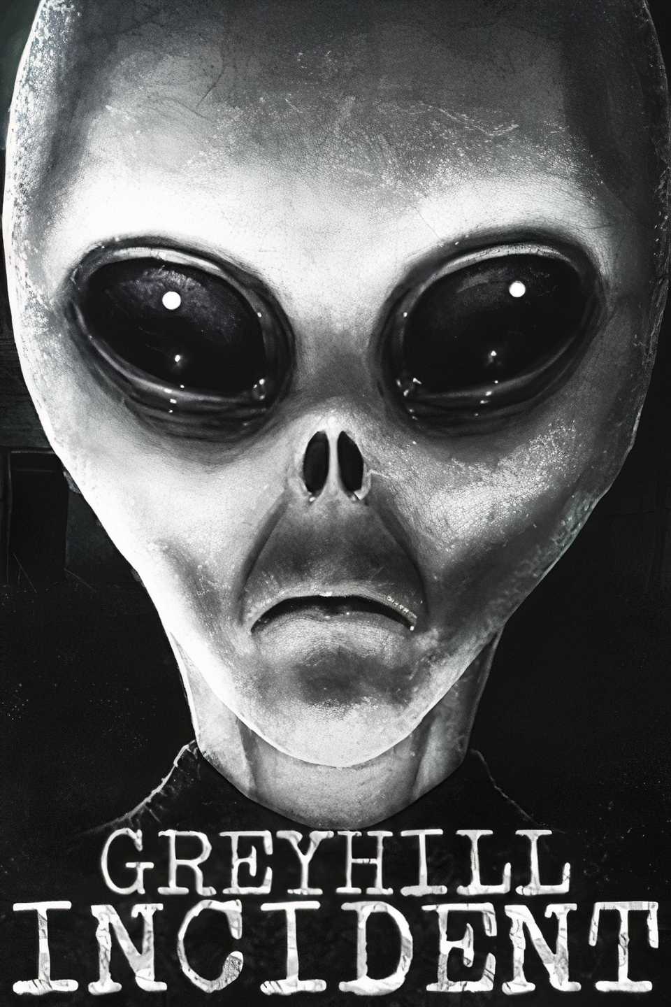 Greyhill Incident Tag Page Cover Art