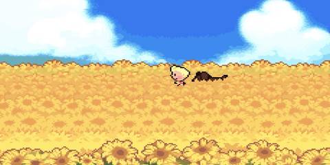 lucas and boney in a flower field