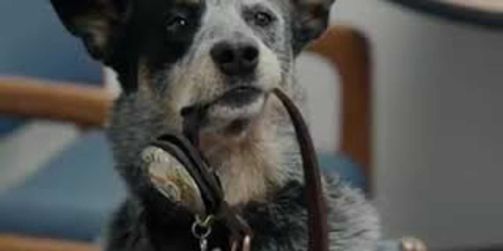 coltrane holding his lead