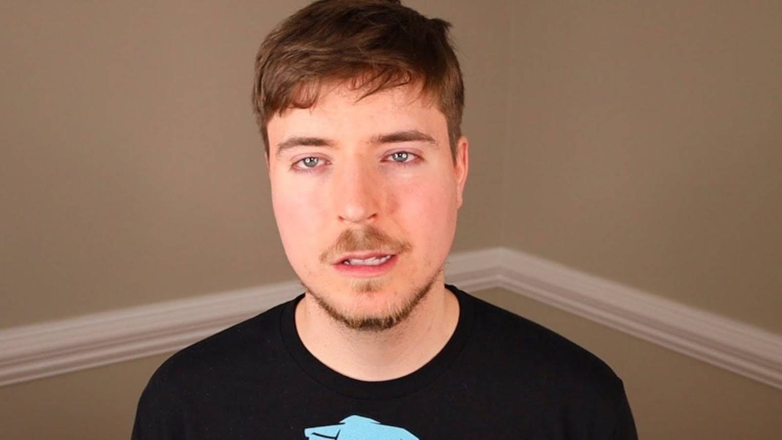 mrbeast responds lunchly controversy