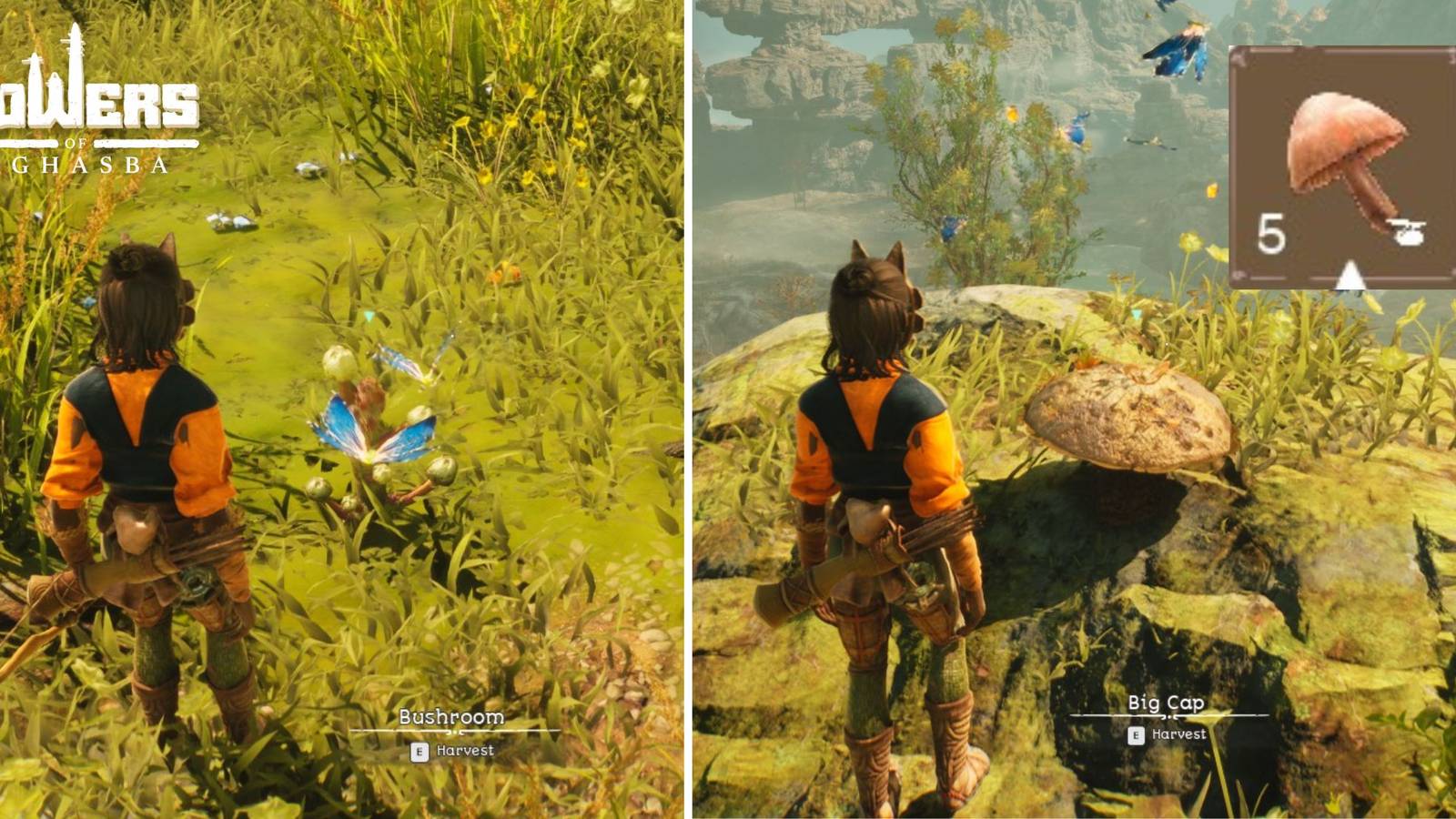 mushroom cap towers of aghasba