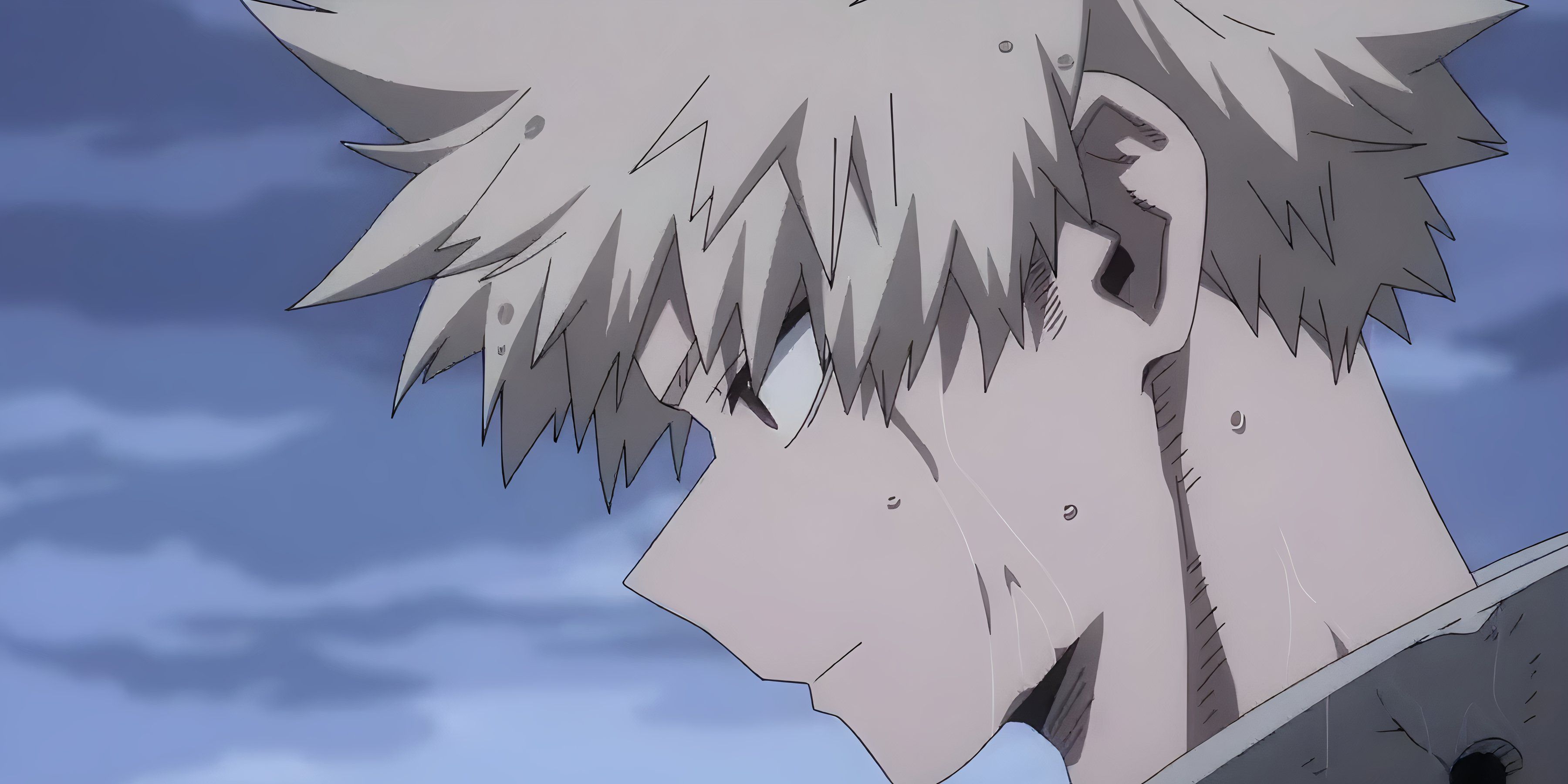 My Hero Academia Fans Are Shocked At Bakugo's Hero Ranking