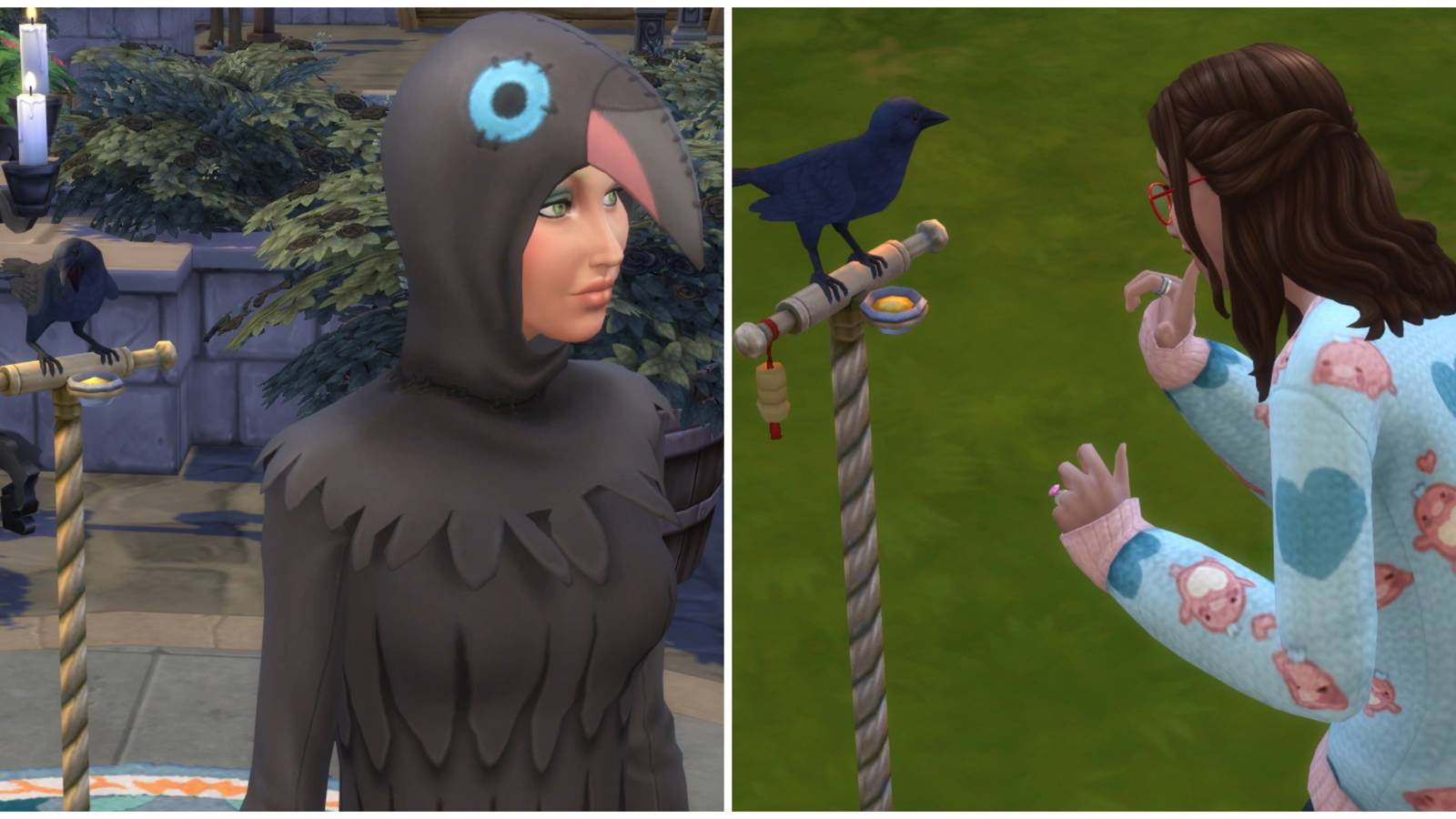 pet crow sims 4