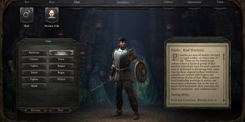 Pillars of eternity paladin 1
