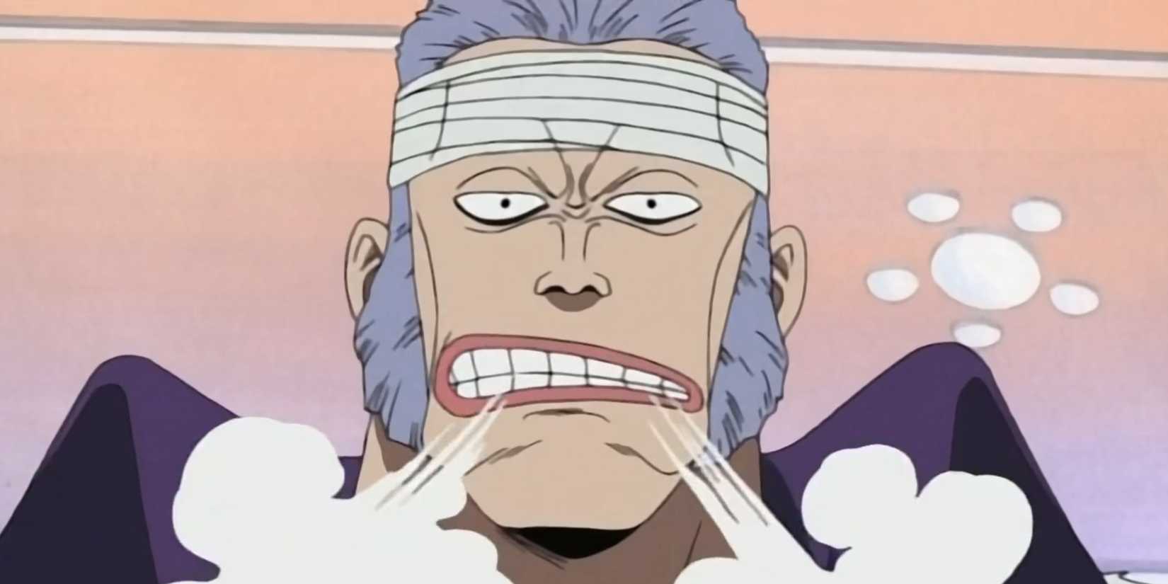 pirate captain  don krieg in one piece