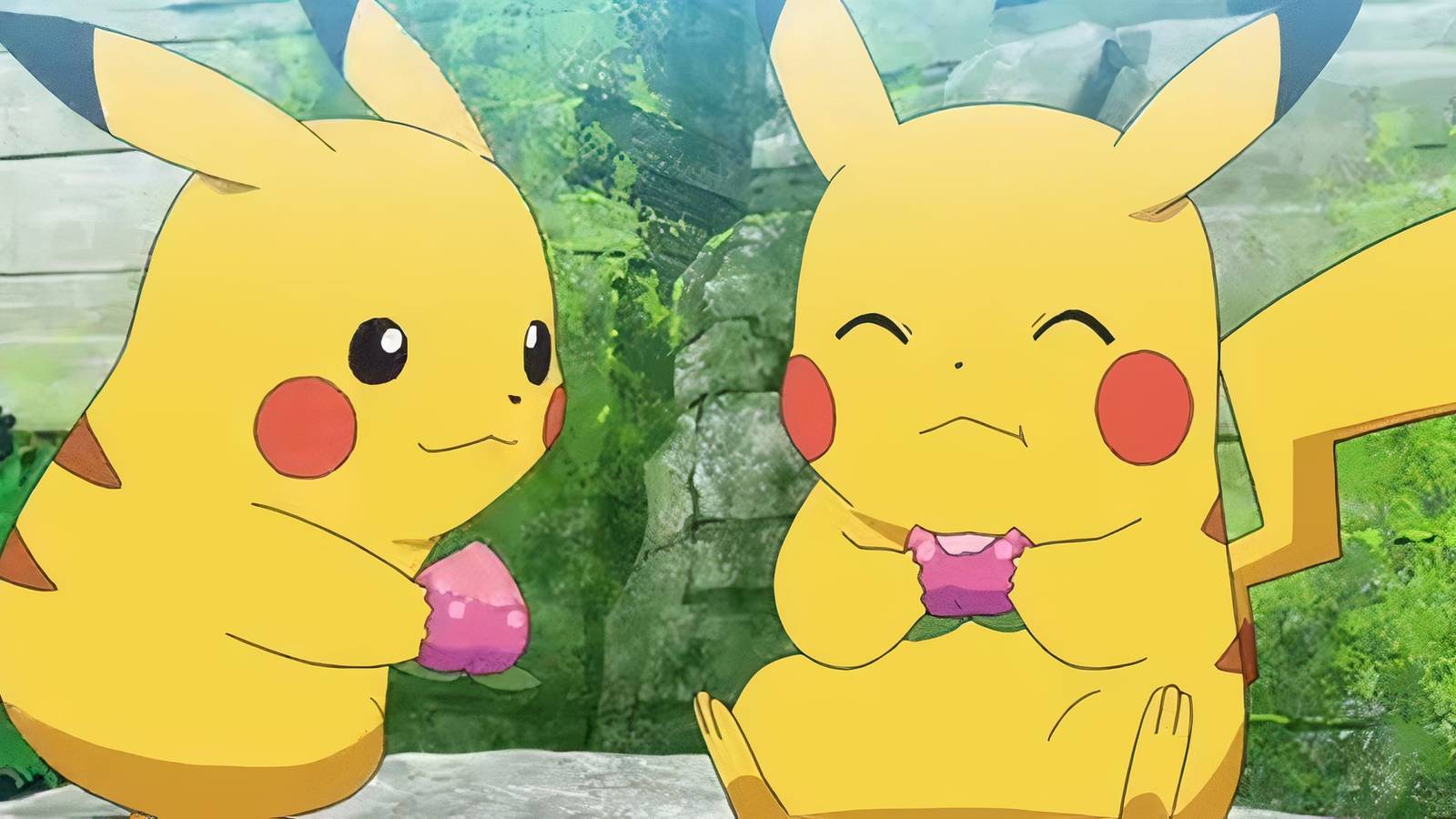 pokemon tcg special find in store