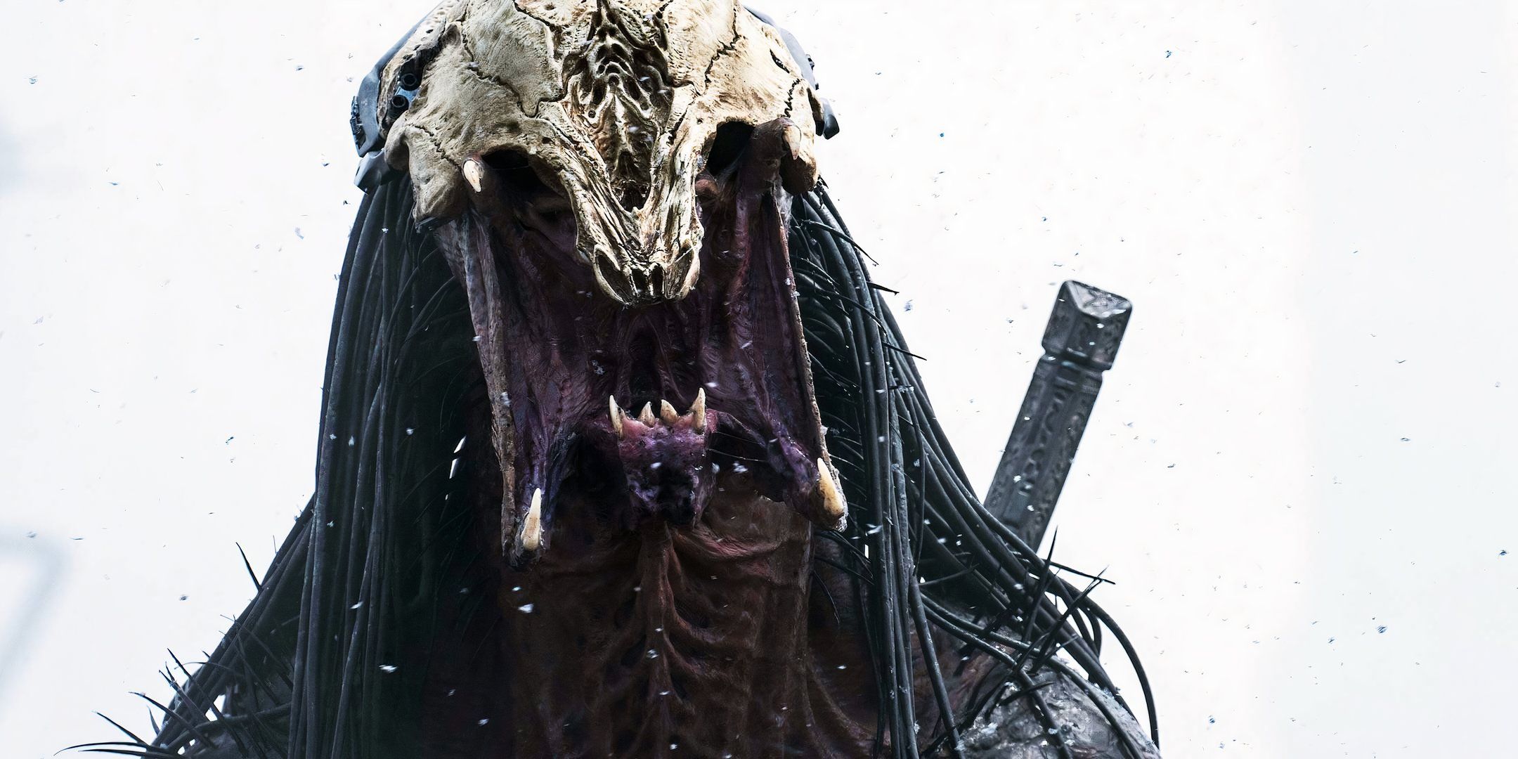 Predator: Badlands Big Twist Takes The Franchise In A Bold Direction