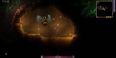 Queen Bee Bee Attack, In Hive