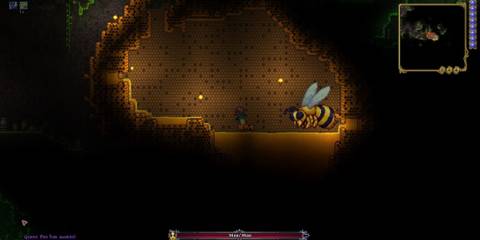 Queen Bee Charge Attack, In Hive