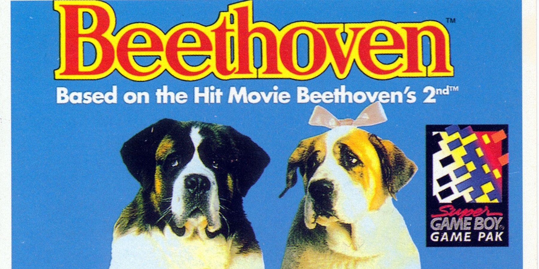 Rarest Game Boy Games- Beethoven