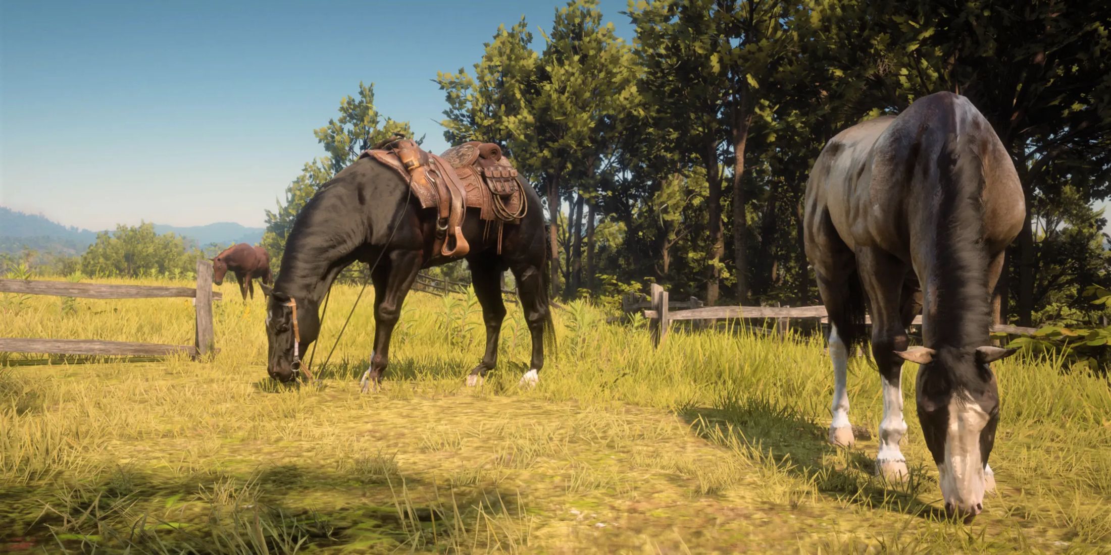 Best Horse Mods For Red Dead Redemption 2