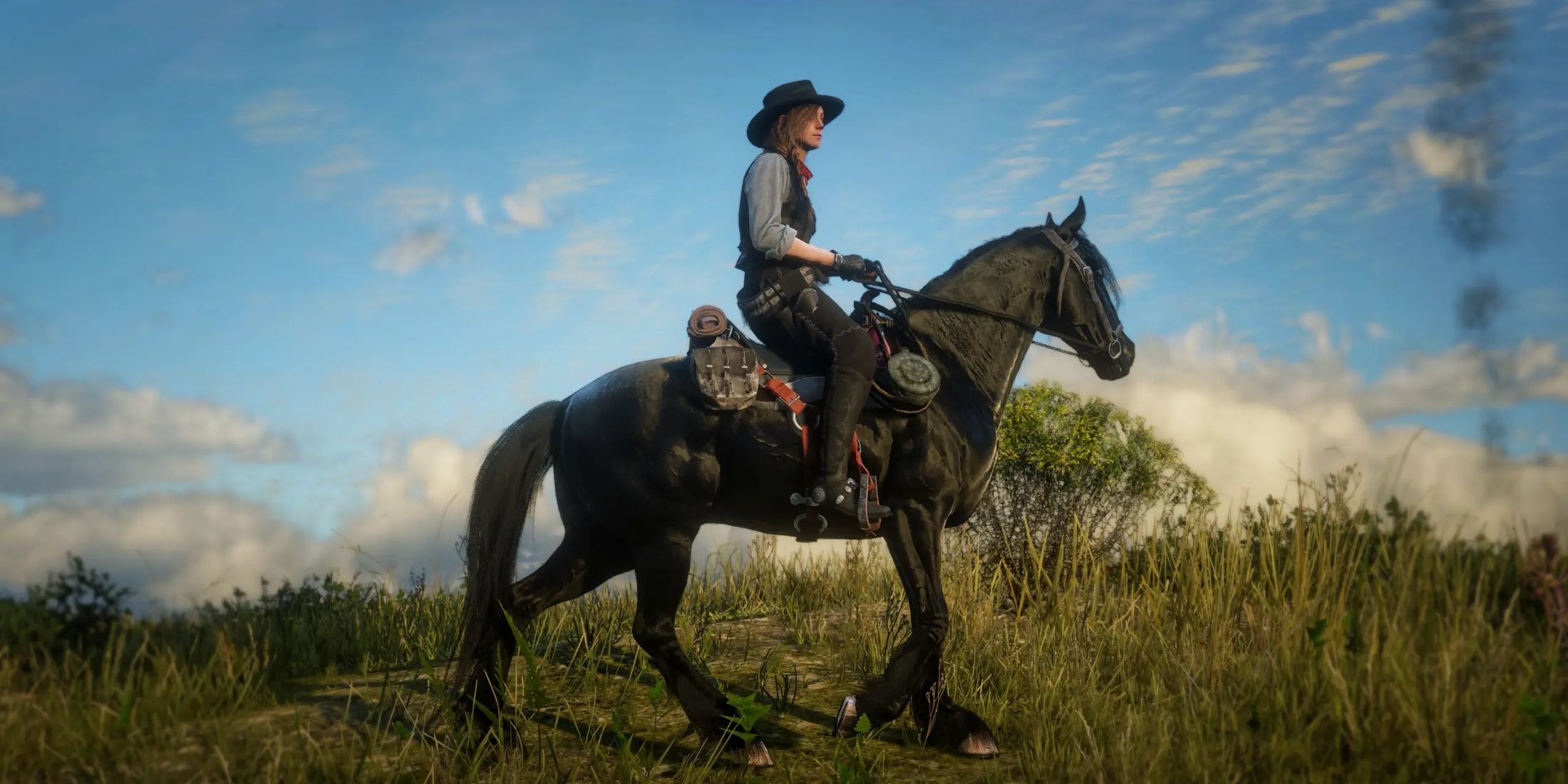 Best Horse Mods For Red Dead Redemption 2