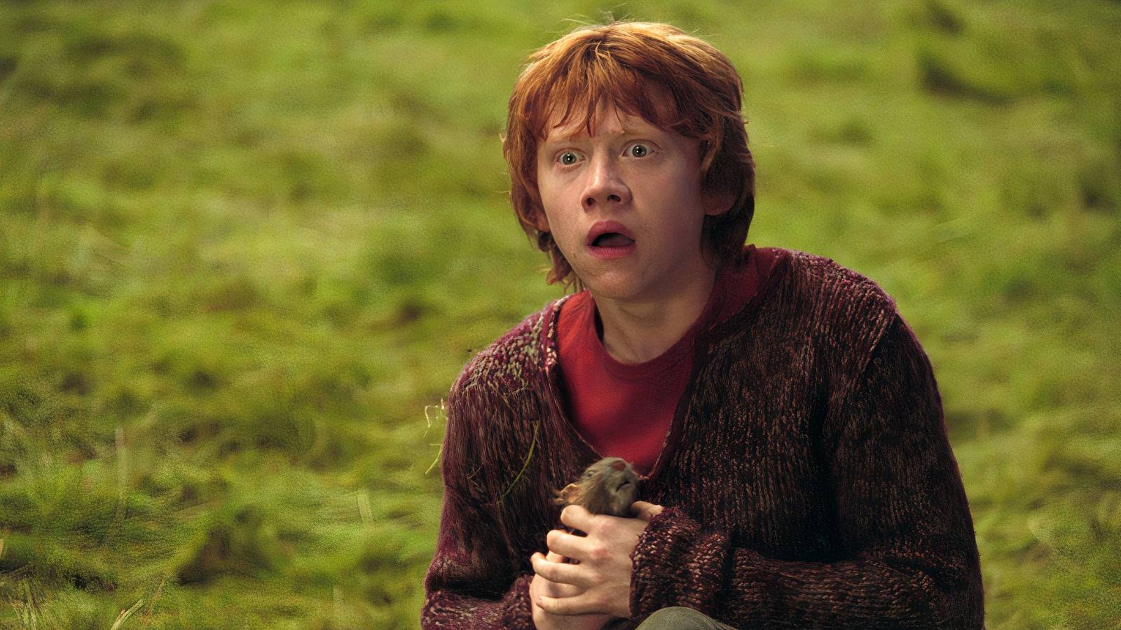 Ron Weasley 