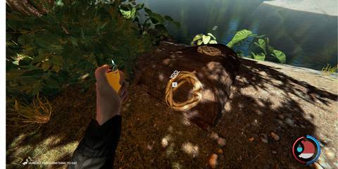 rope on the lakeside the forest