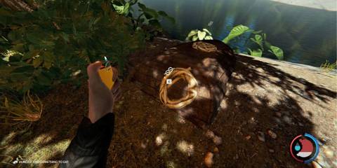 rope on the lakeside the forest 