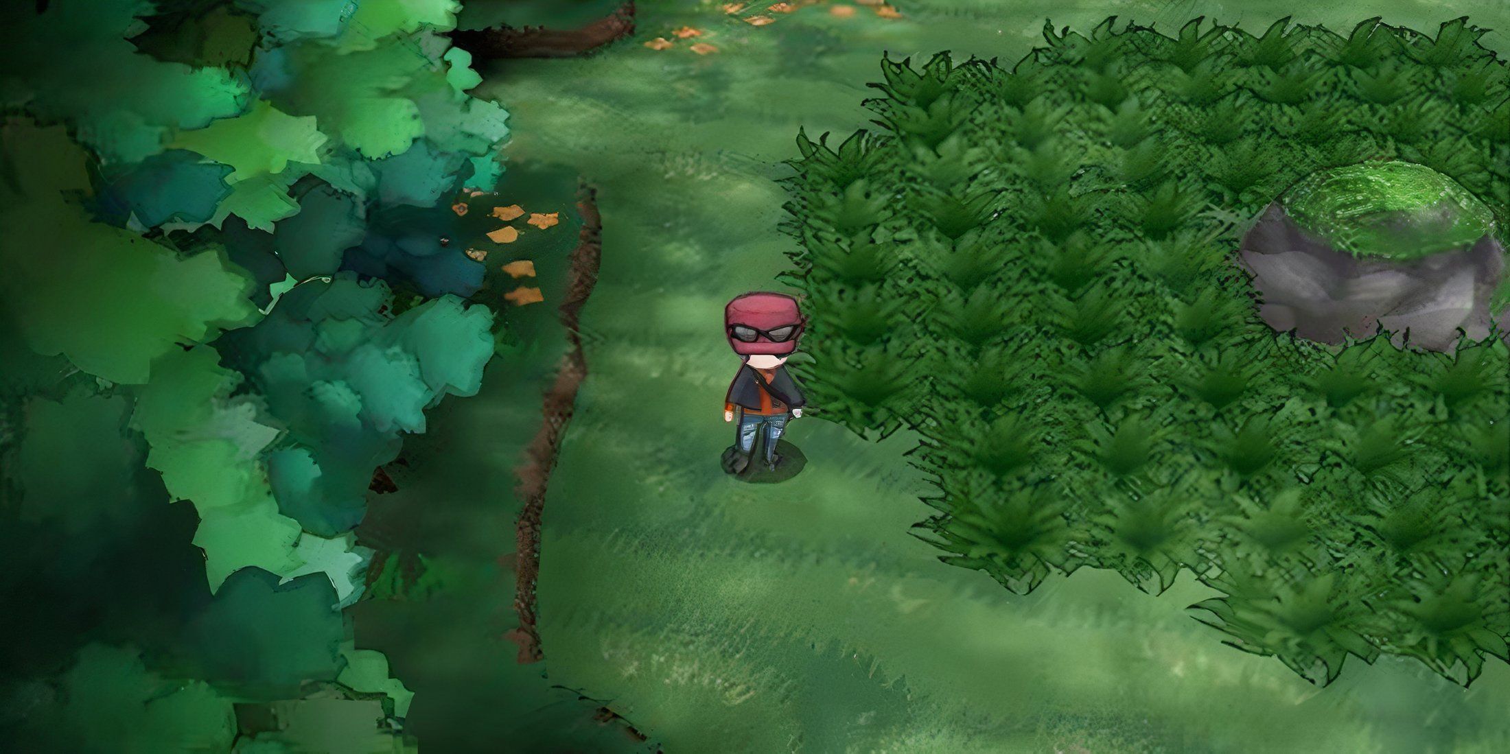 Route 20 Pokemon XY