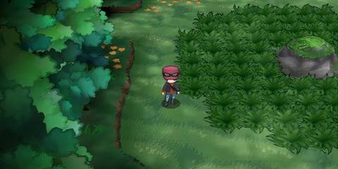 Route 20 Pokemon XY