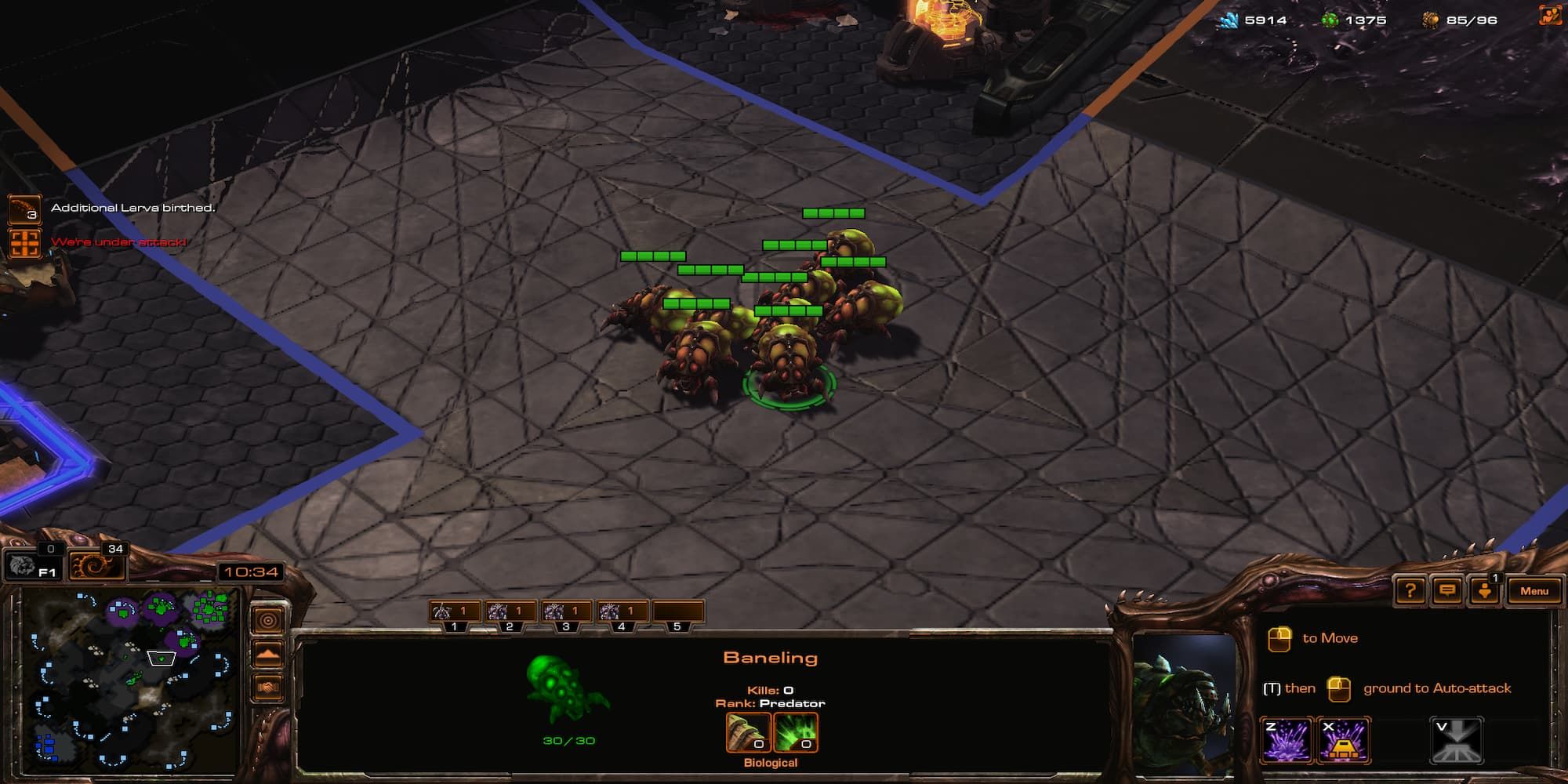 Best Zerg Units In StarCraft 2