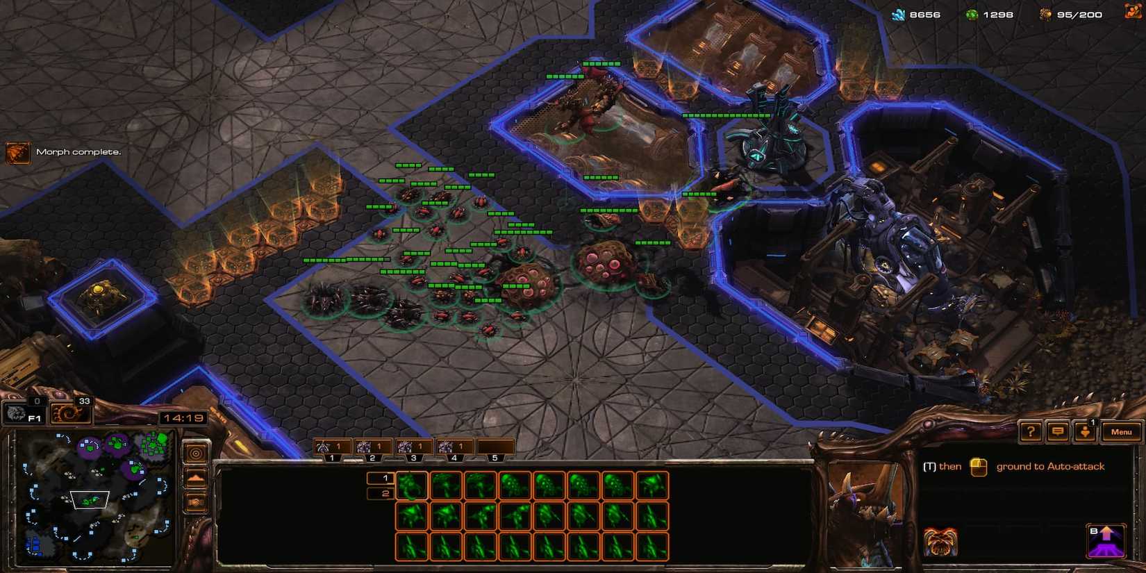 Zerg Base Layout Best Zerg Upgrades In StarCraft 2