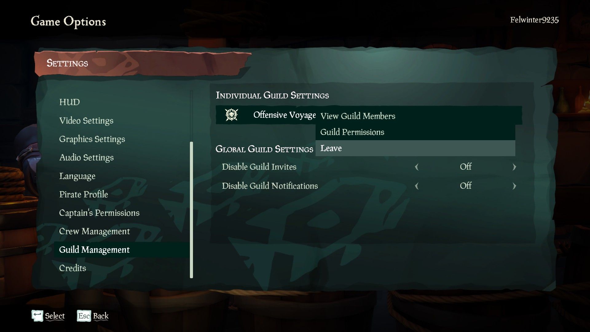 Sea of ​​Thieves Leave Guild