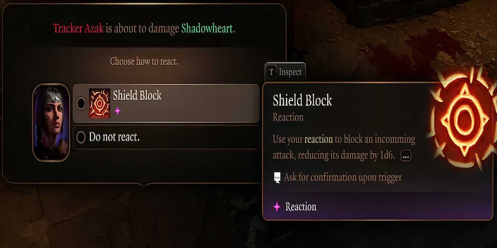 Shield Overhaul Baldur's Gate 3