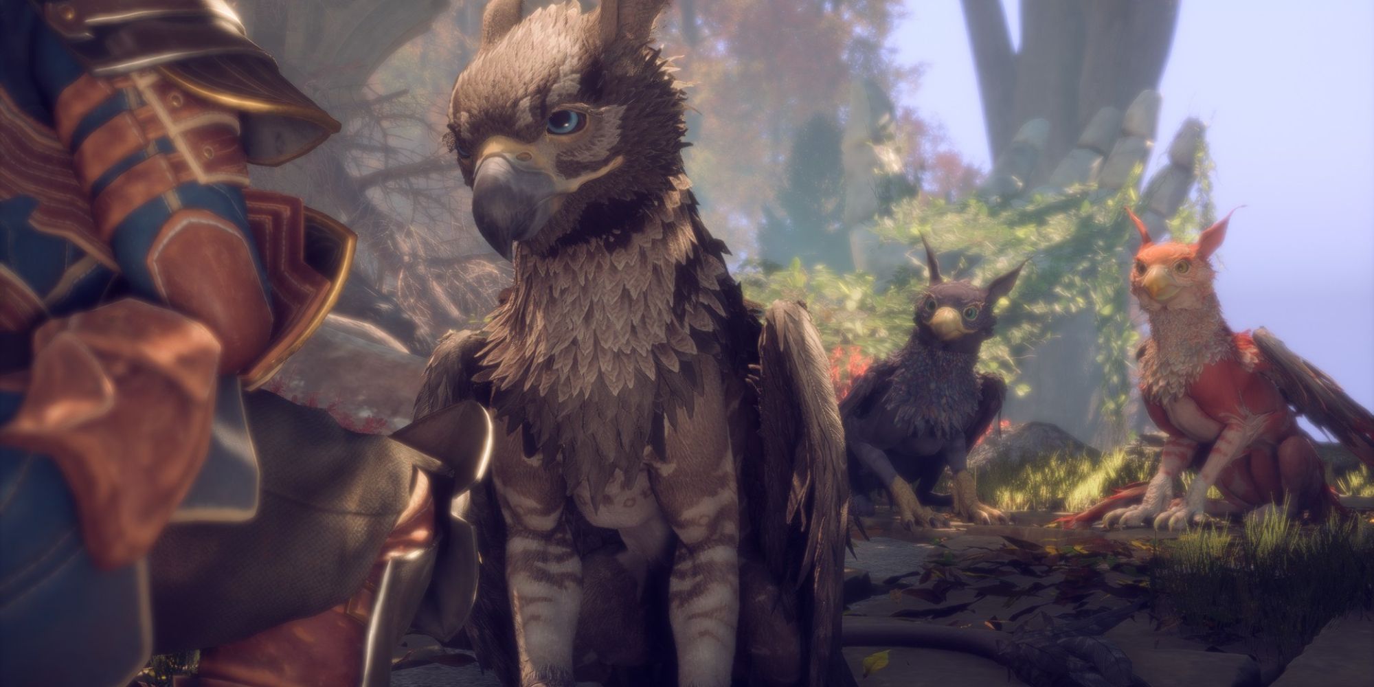 Dragon Age The Veilguard Should Griffons Go To Wardens Or Become Sentinels Of Nature