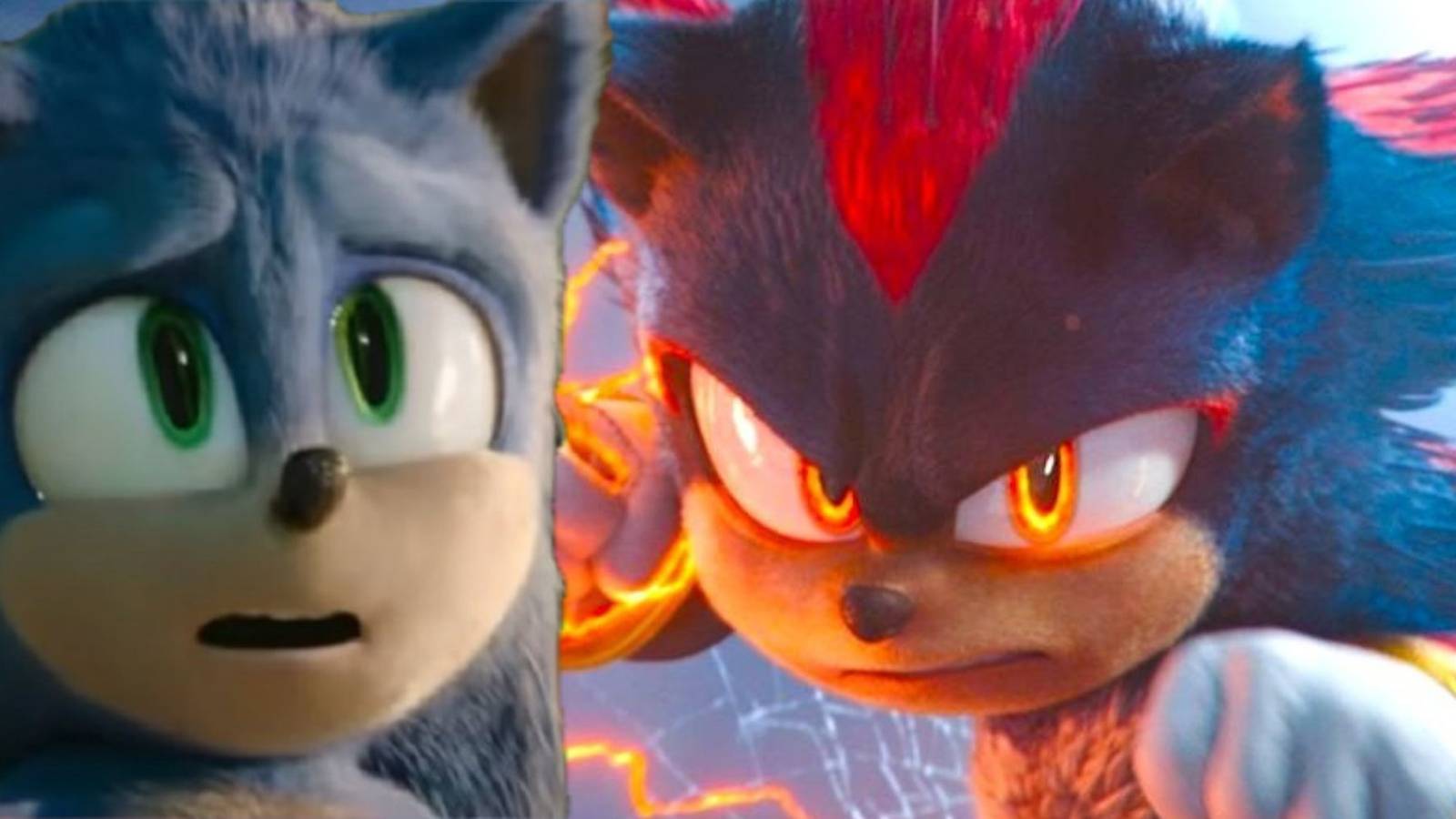 Sonic and Shadow the Hedgehog