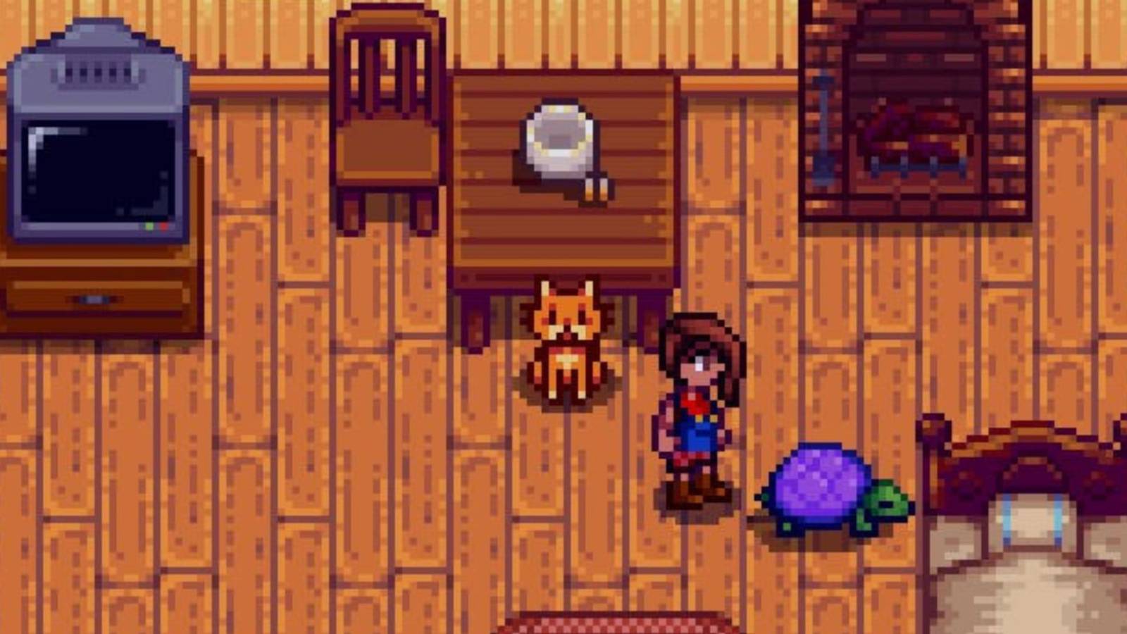 stardew-valley-cat-turtle-in-house