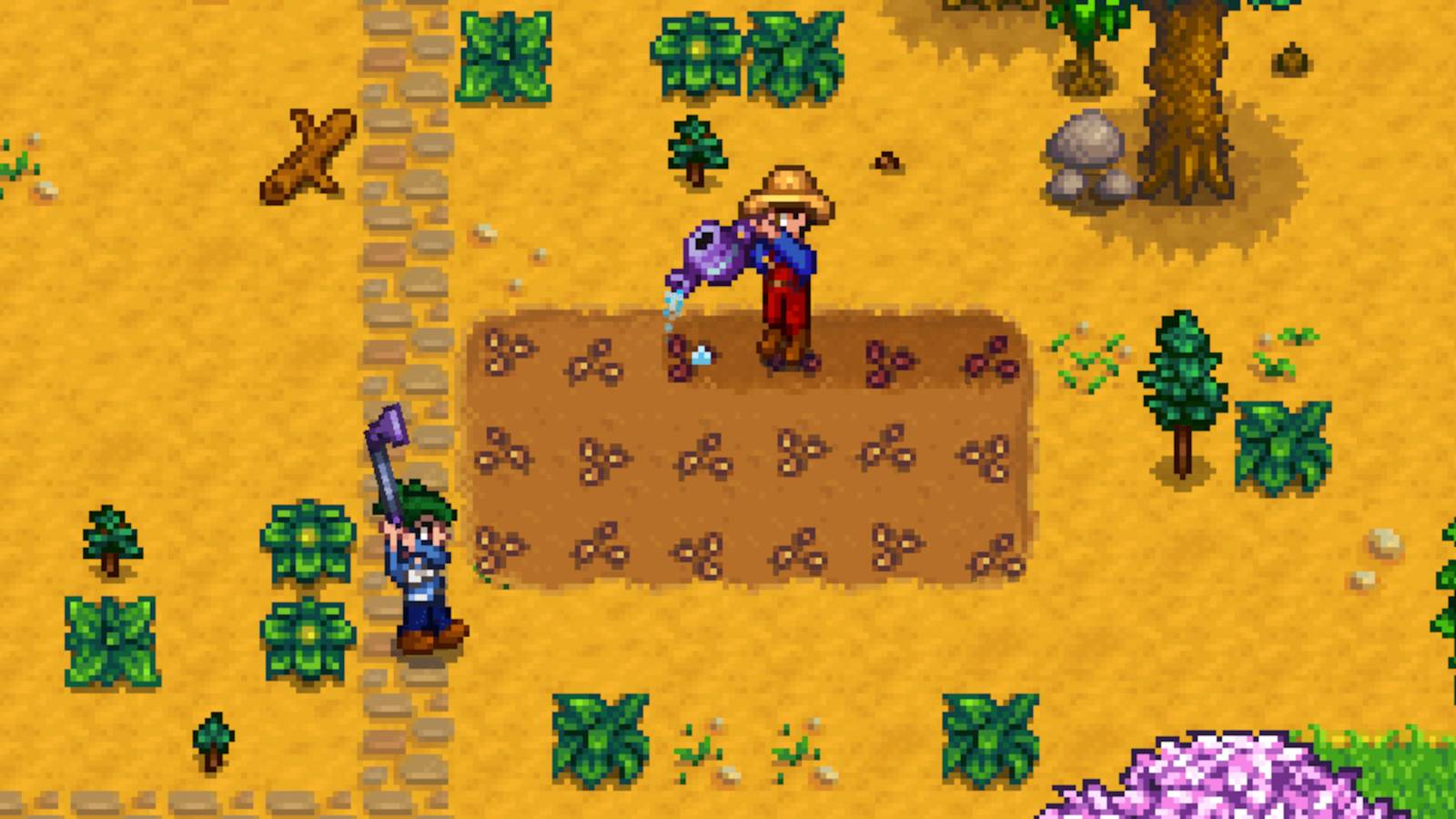 stardew valley player in void glitch