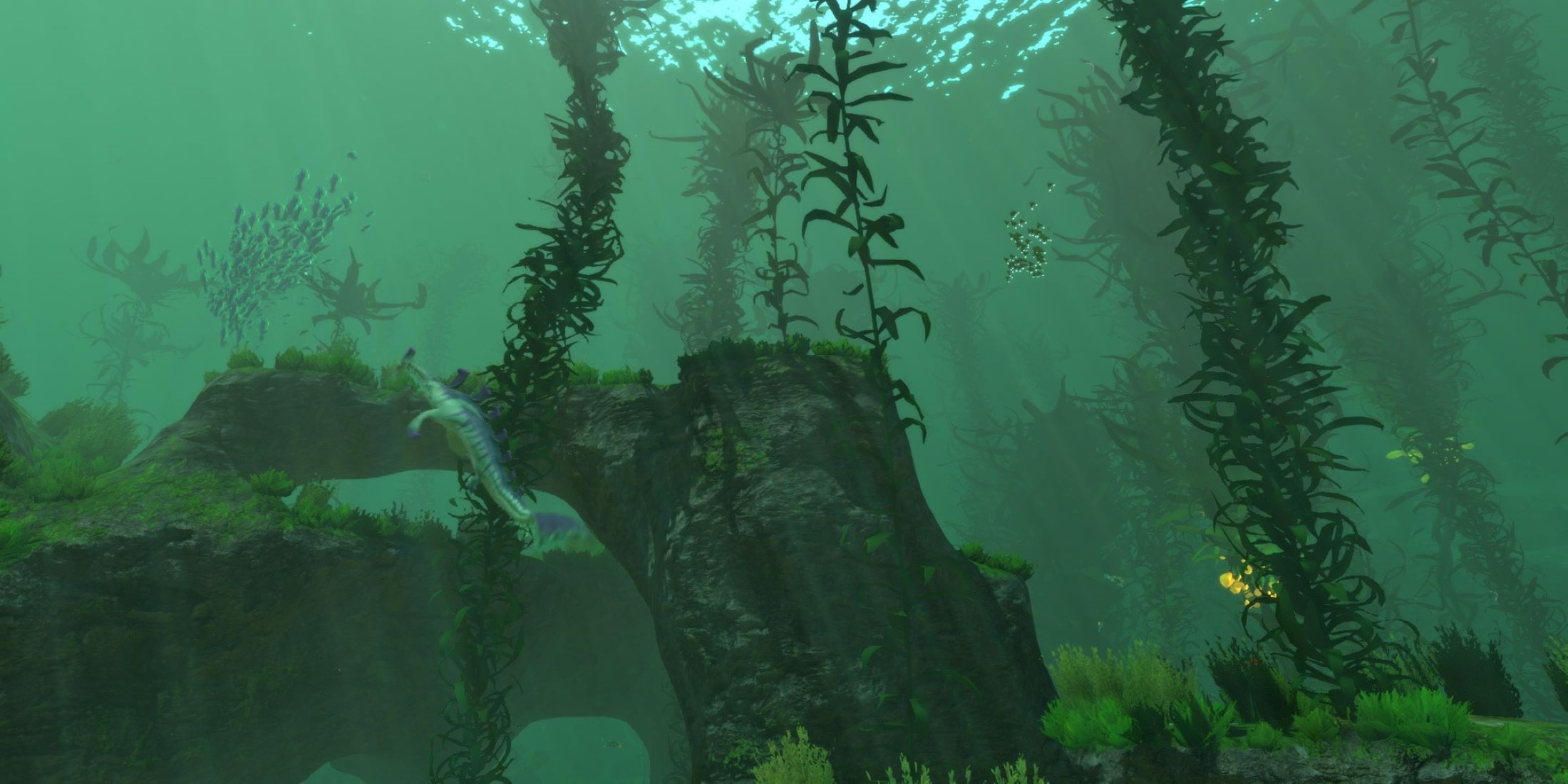 Underwater Kelp Forest