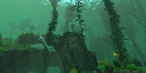 The Underwater Kelp Forest in Subnautica