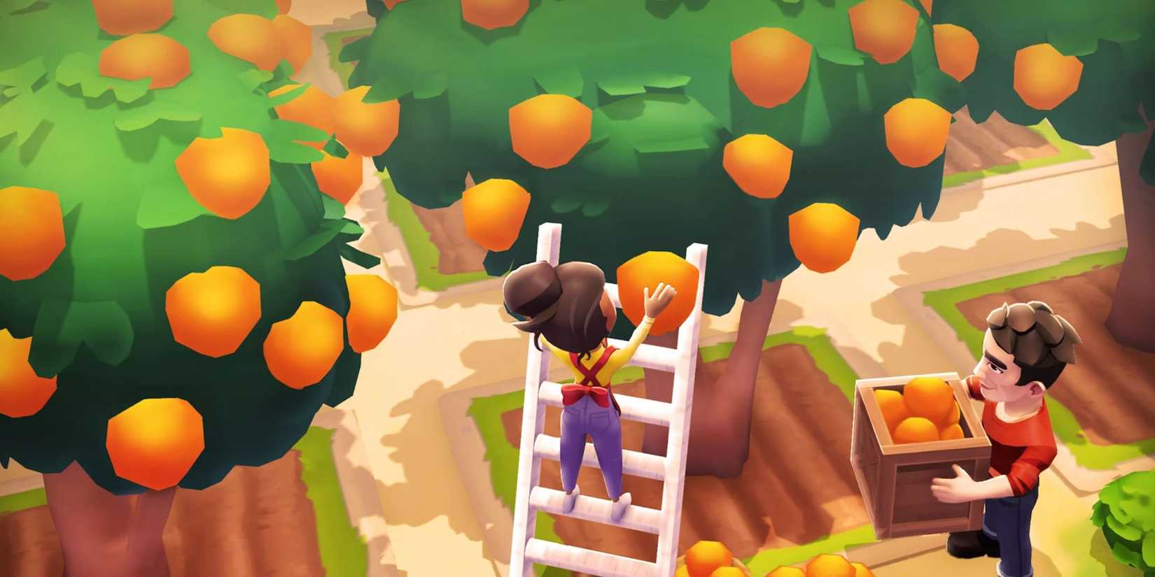 Sunshine Island farm