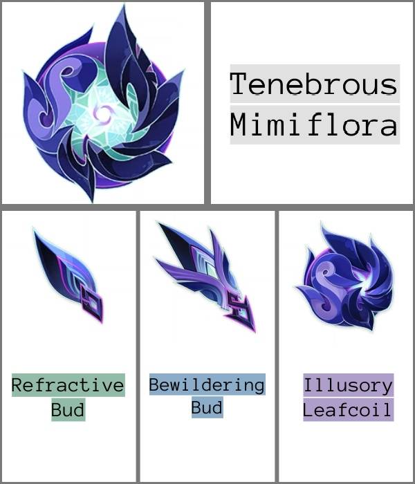 Tenebrous Mimiflora Drops Genshin Impact