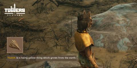 thatch towers of aghasba