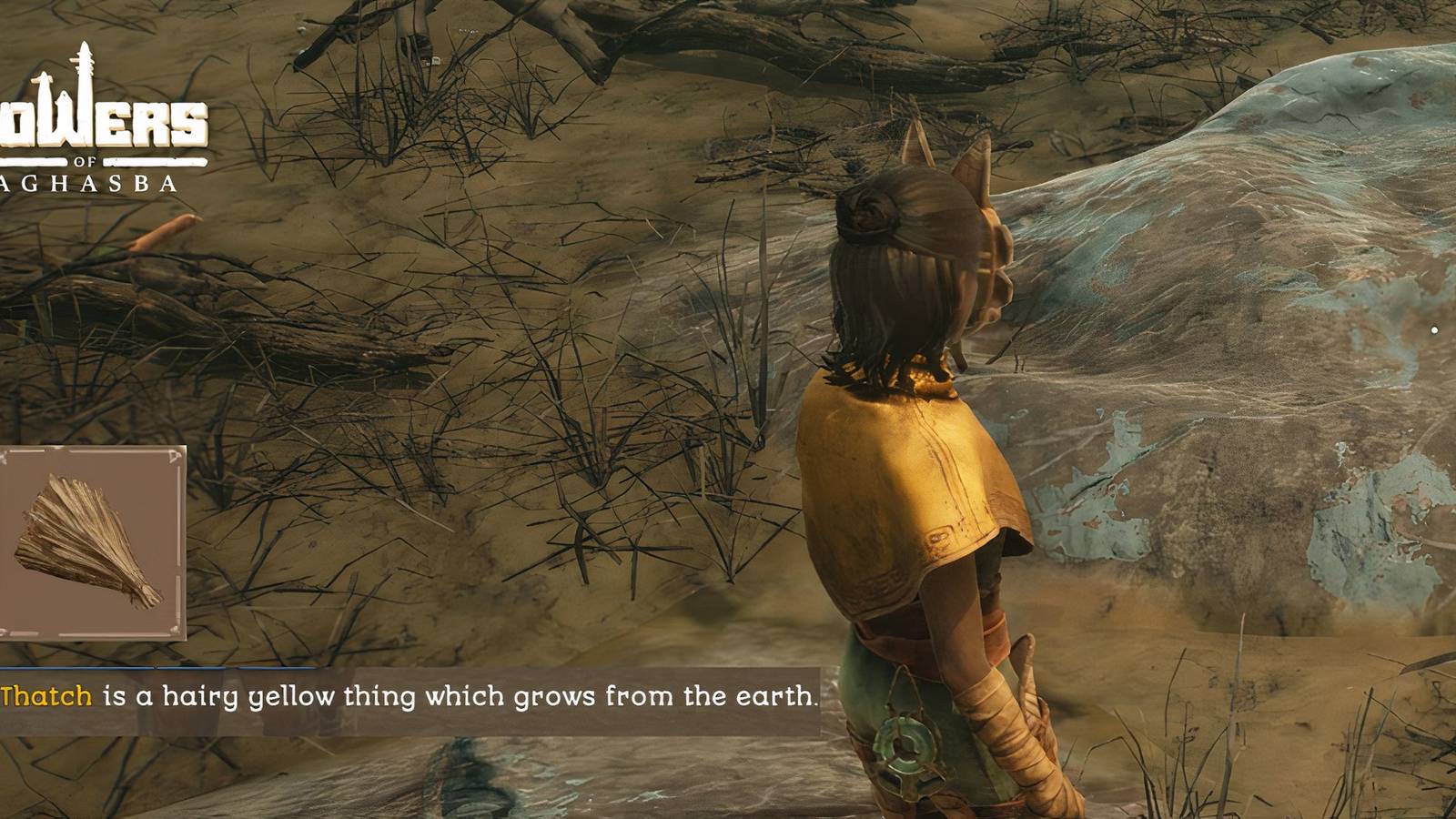 thatch towers of aghasba