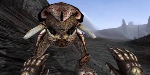 The Elder Scrolls Morrowind Magic 4
