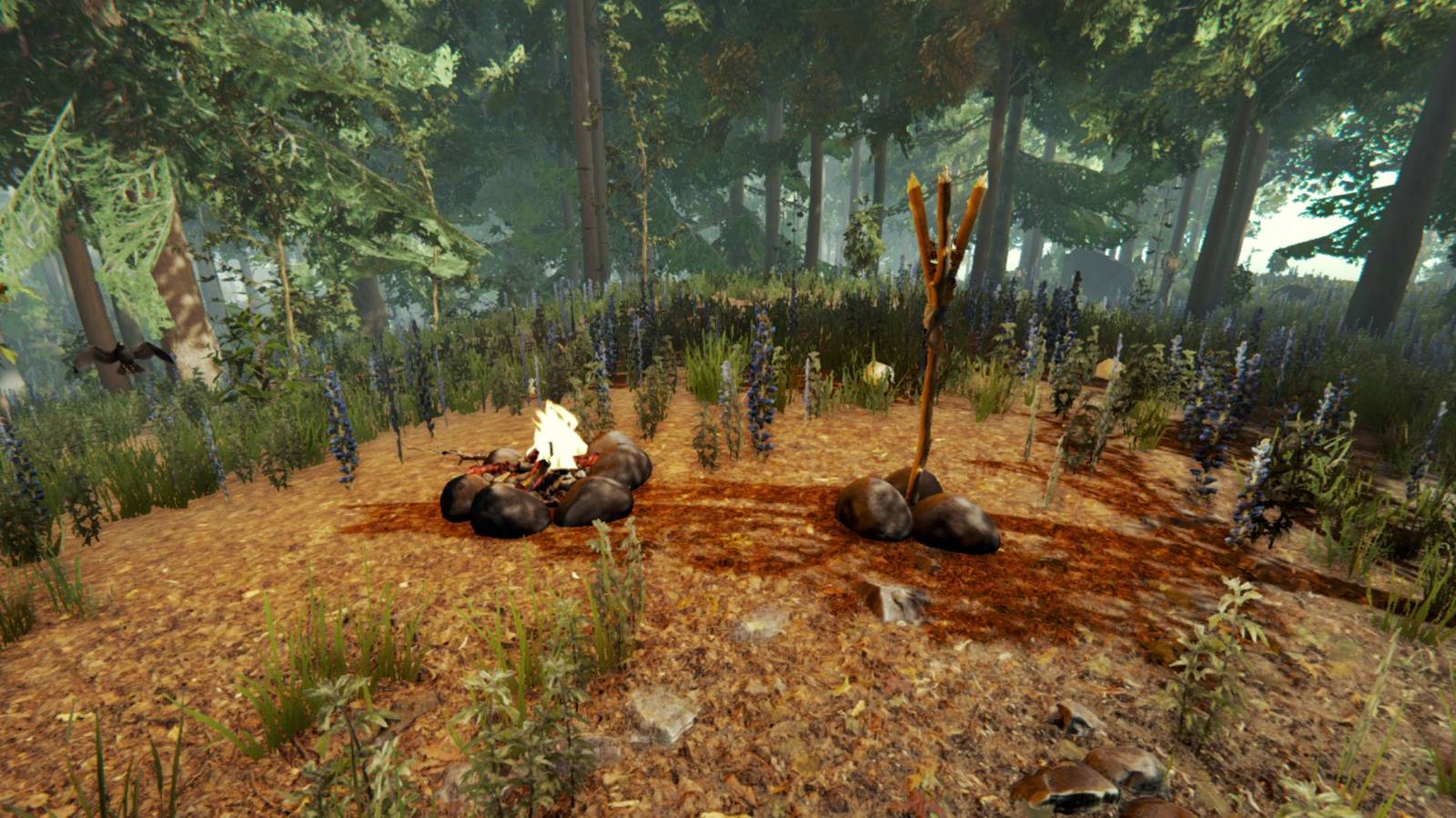 the-forest-fire-types-explained