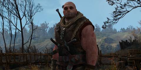 The Witcher 3 - Letho