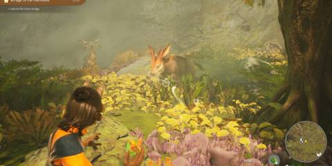 Towers of Aghasba Throwing Lettuce to Harelope