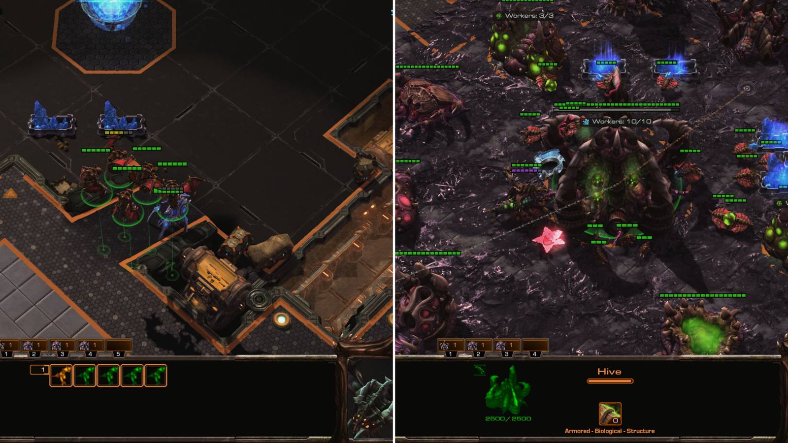 Mutalisks Attacking Enemies & A Hive Surrounded By Buildings