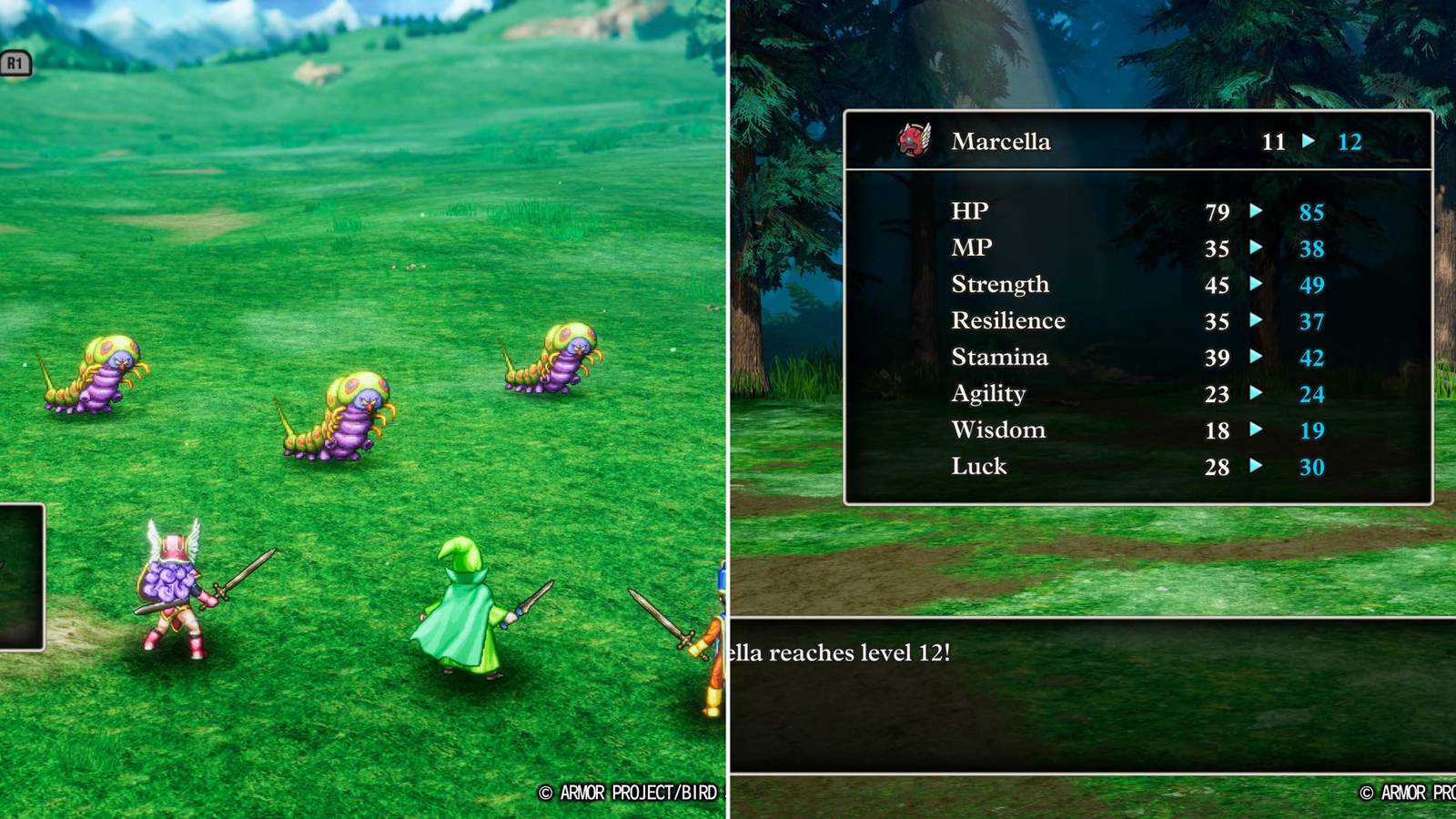 The Party Facing Monsters & A Character Leveling Up 