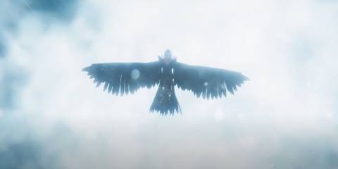 Valheim Screenshot Odin's Crow
